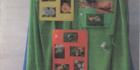 Powiększ grafikę: Fotografie konkursowe przywieszone do zielonego materiału. Zdjęcie wykonane z dalszej odległości.
