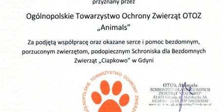 Powiększ grafikę: Zdjęcie przedstawia dyplom dla młodzieży Bursy Gdańskiej za wsparcie Schroniska dla Bezdomnych Zwierząt „Ciapkowo” w Gdyni