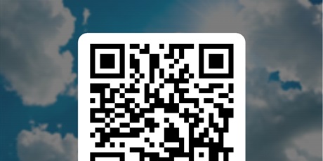 Powiększ grafikę: Ankieta Piramowicza