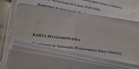 Powiększ grafikę: wybory-do-samorzadu-wychowankow-w-bursie-przy-ul-wyzwolenia-49-717933.jpg