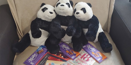 Powiększ grafikę: Na zdjęciu widać trzy siedzące pluszowe pandy. Przed pandami znajdują się czekolady i kartki z okazji 18 urodziny. 