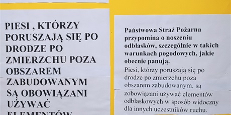 Powiększ grafikę: Plakat promujący akcję 